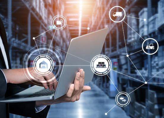 团队宠物供应链管理经验