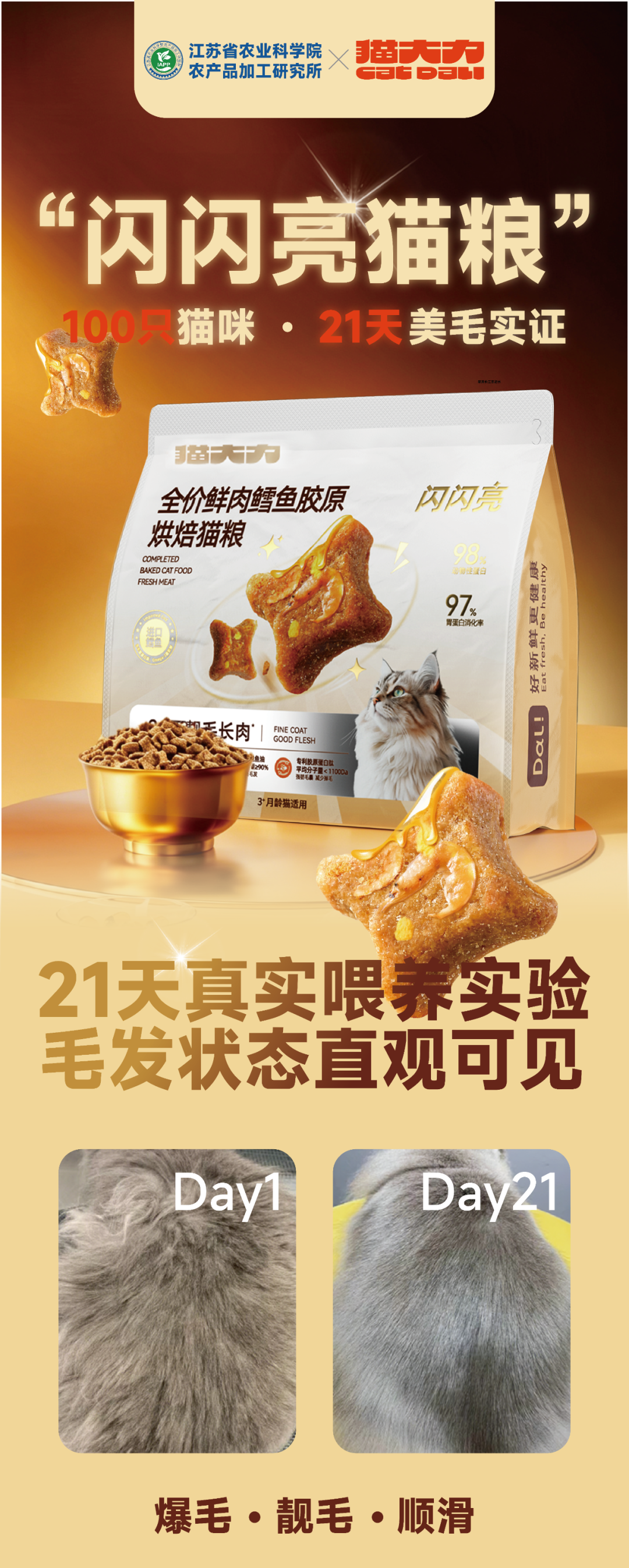 增长建设站