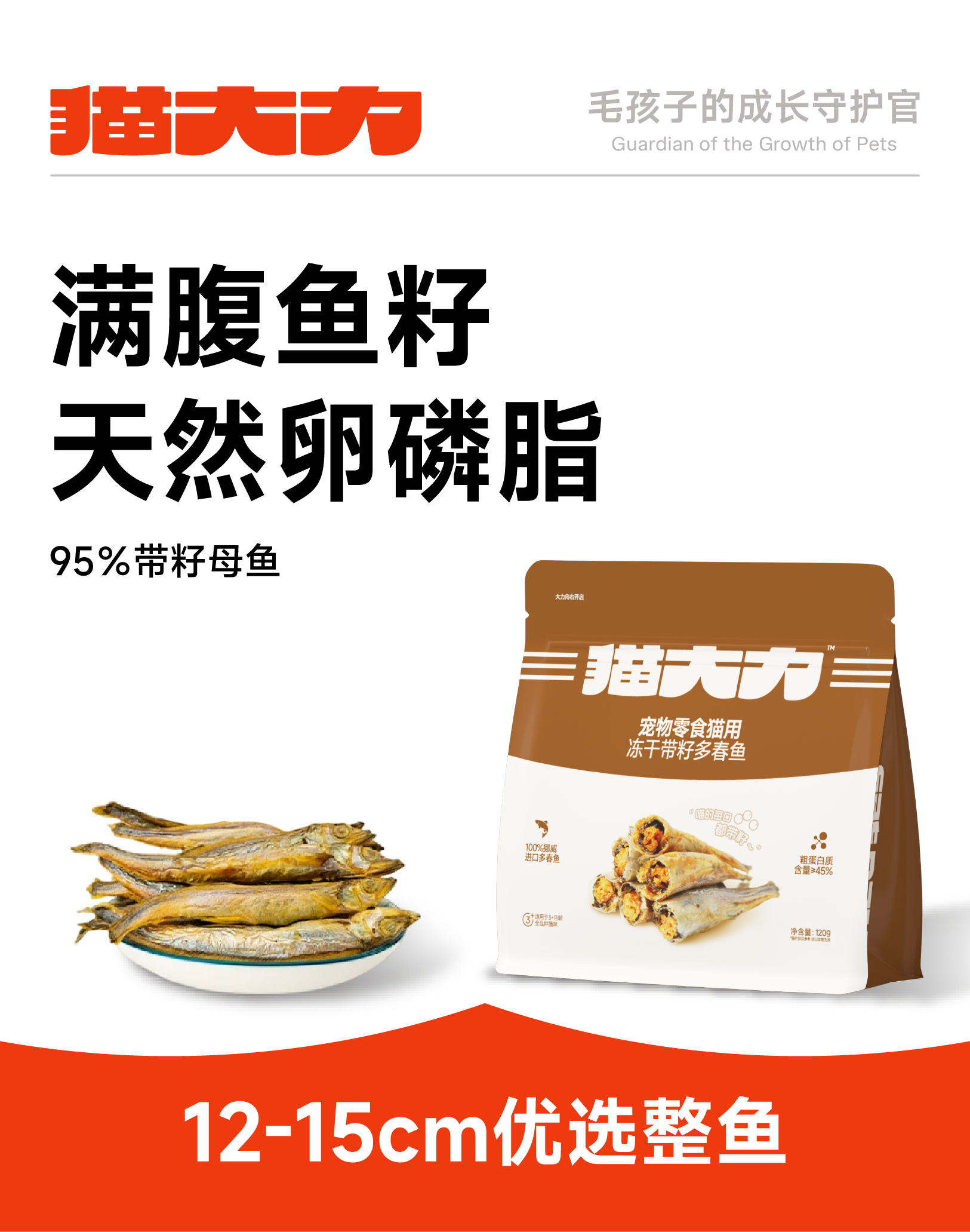 增长建设站