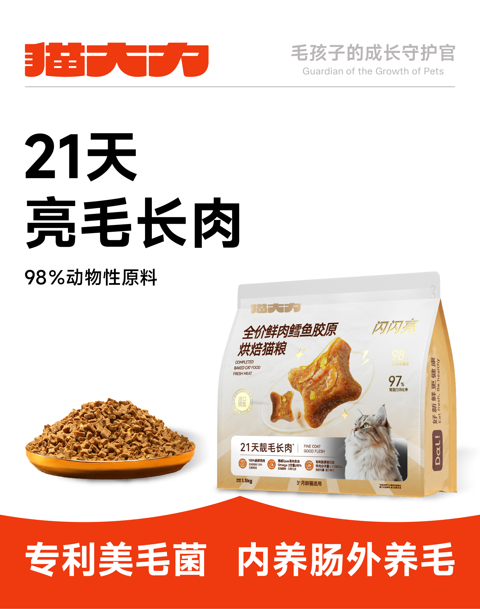 增长建设站