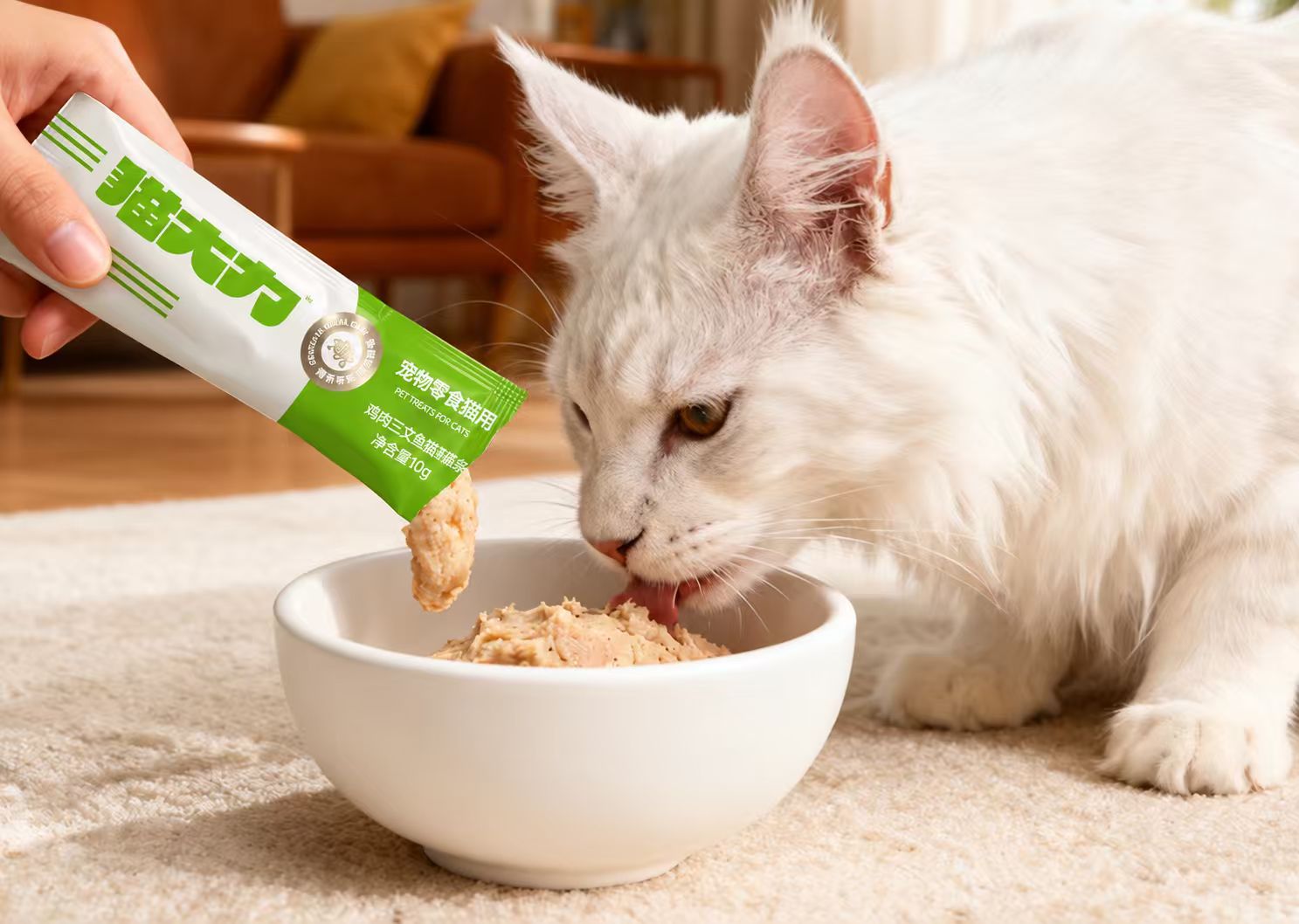  挑食猫营养补给
