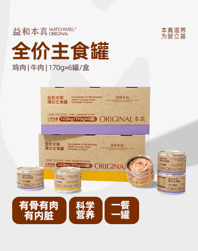 增长建设站