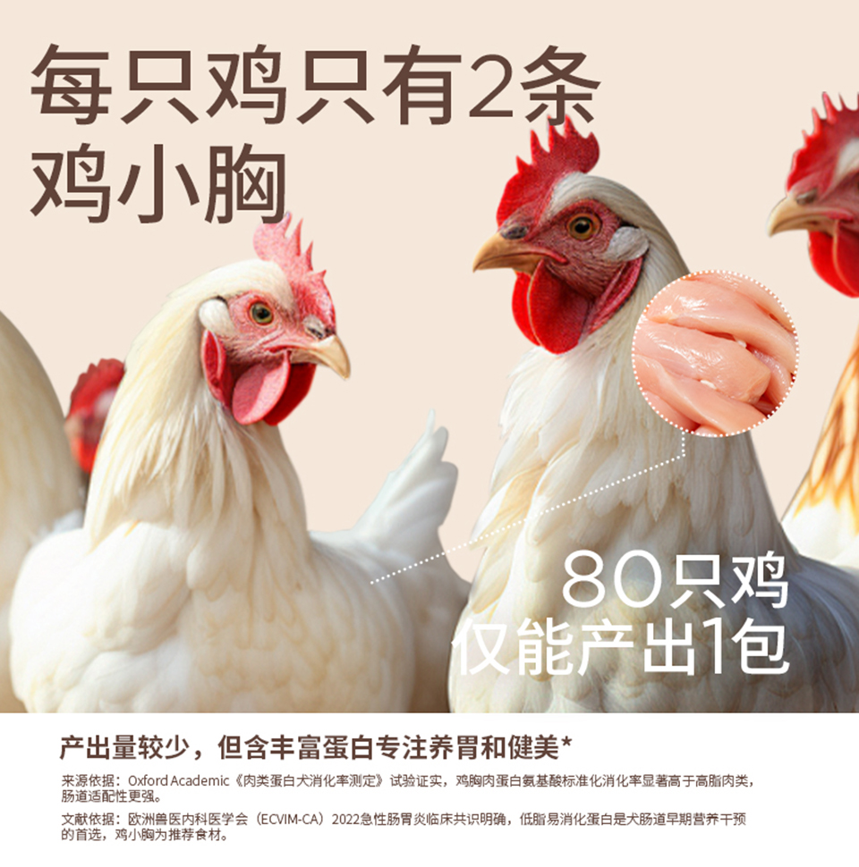 画板 1 拷贝 3.jpg