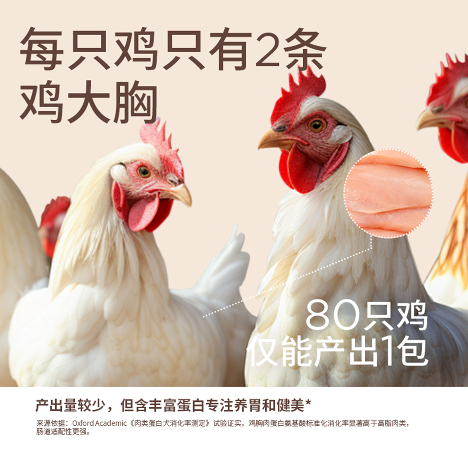 画板 1 拷贝 2.jpg