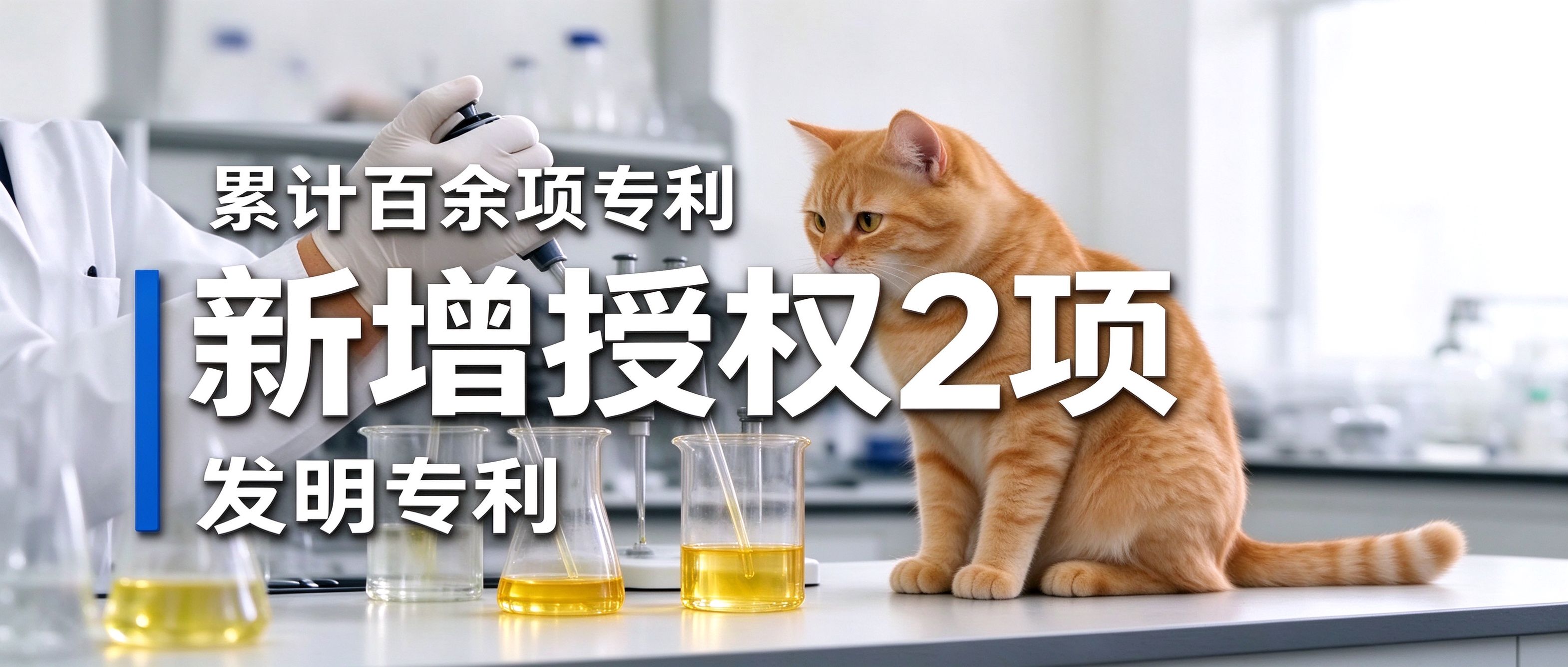 增长建设站