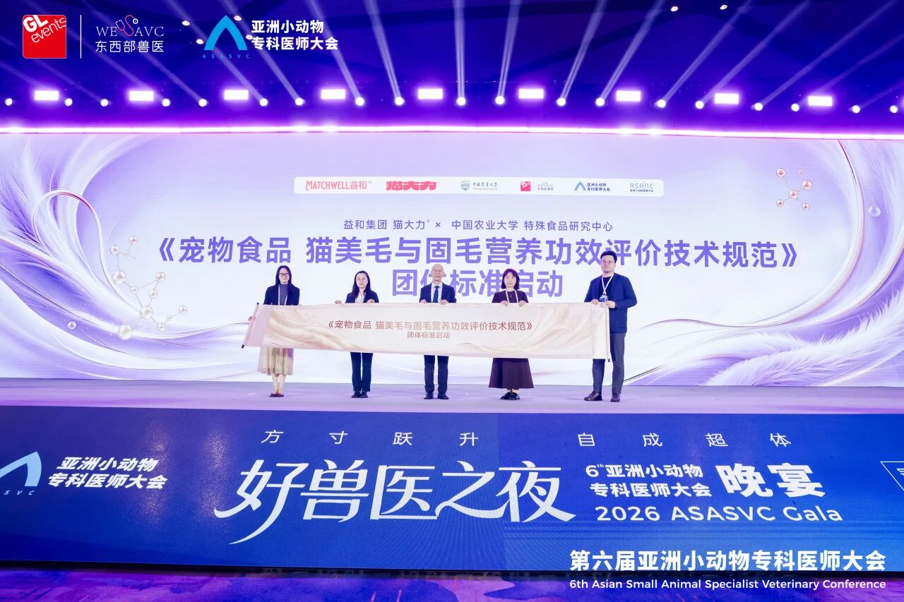 增长建设站